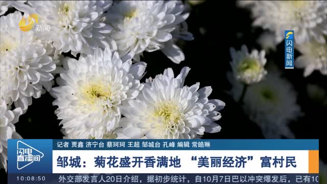 【乡村振兴齐鲁样板 村村有好戏】邹城：菊花盛开香满地 “美丽经济”富村民