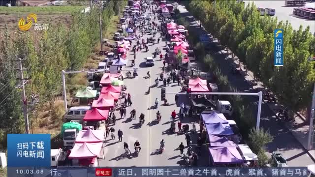 【游和美乡村 逛黄河大集】赶百年淄川西关大集 感受原生态乡村魅力
