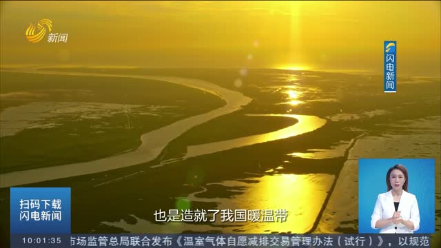 【闪电探馆】黄河入海，我们回家！沉浸式体验东营黄河入海口生态之美