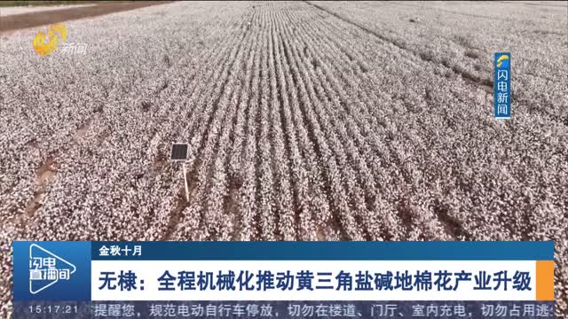 【金秋十月】无棣：全程机械化推动黄三角盐碱地棉花产业升级