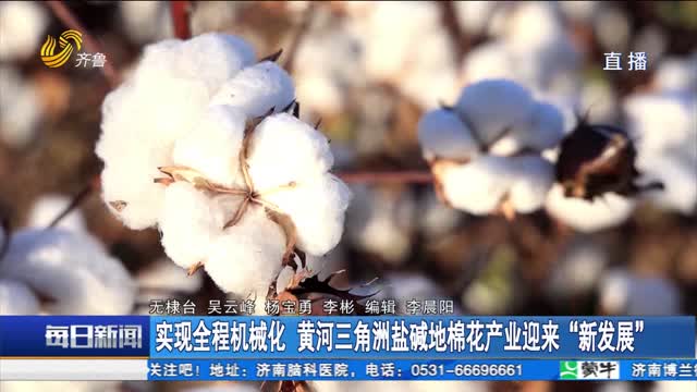 实现全程机械化 黄河三角洲盐碱地棉花产业迎来“新发展”