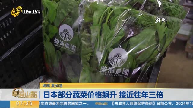 日本部分蔬菜价格飙升 接近往年三倍