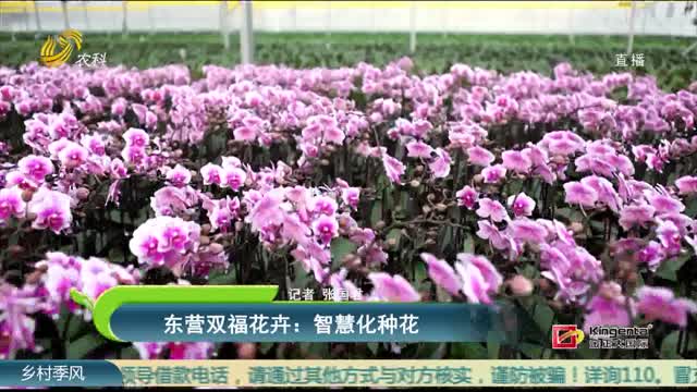东营双福花卉：智慧化种花