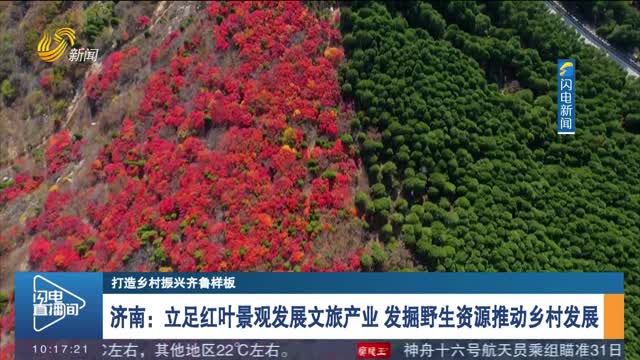 【打造乡村振兴齐鲁样板】济南：立足红叶景观发展文旅产业 发掘野生资源推动乡村发展