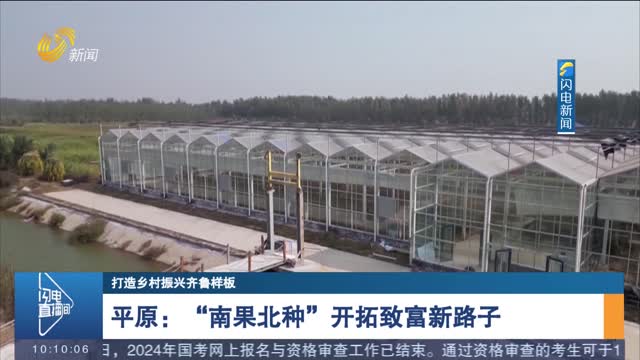 【打造乡村振兴齐鲁样板】平原：“南果北种”开拓致富新路子