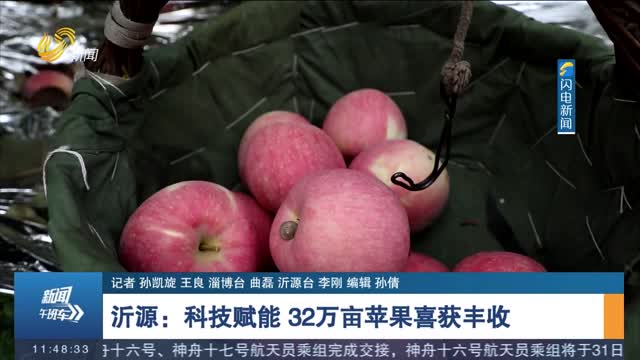 【丰收季】沂源：科技赋能 32万亩苹果喜获丰收