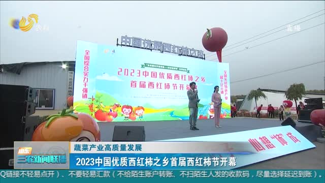 【蔬菜产业高质量发展】2023中国优质西红柿之乡首届西红柿节开幕