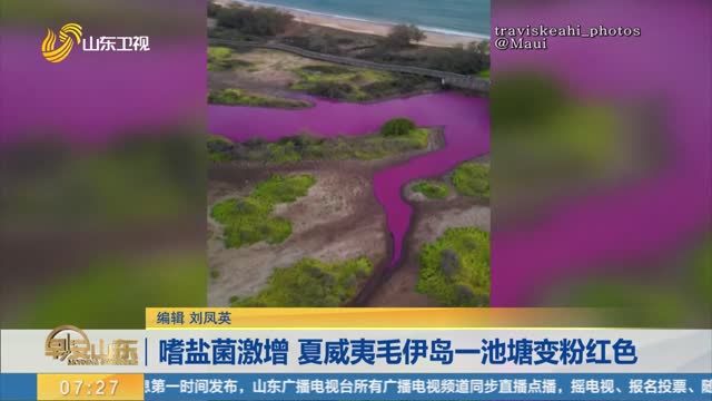 嗜盐菌激增 夏威夷毛伊岛一池塘变粉红色
