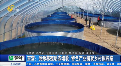 东营：泥鳅养殖助农增收 特色产业铺就乡村振兴路