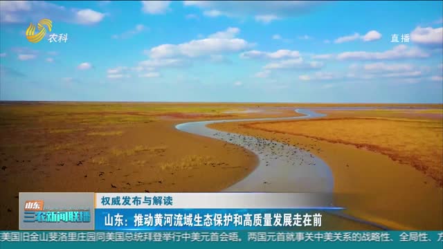 【权威发布与解读】山东：推动黄河流域生态保护和高质量发展走在前