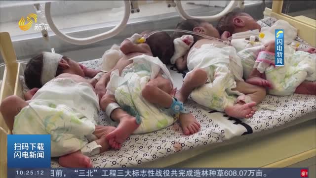 巴以冲突持续 31名早产儿成功从希法医院疏散