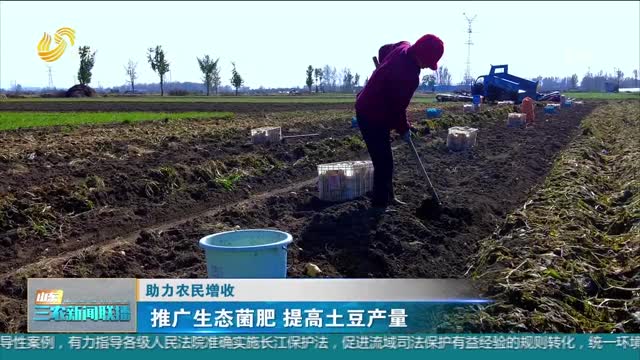 【助力农民增收】推广生态菌肥 提高土豆产量
