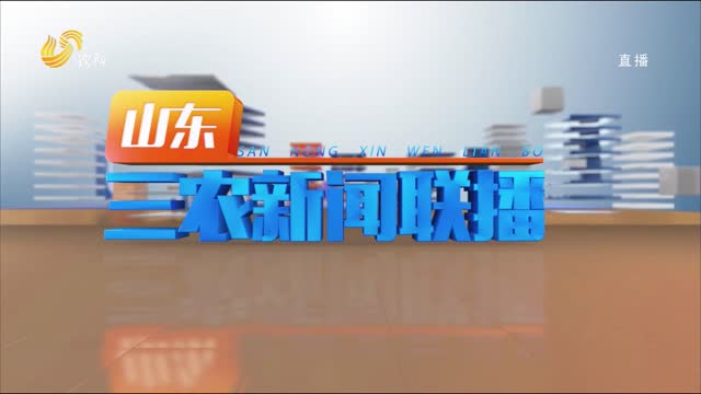 2023年11月23日山东三农新闻联播完整版