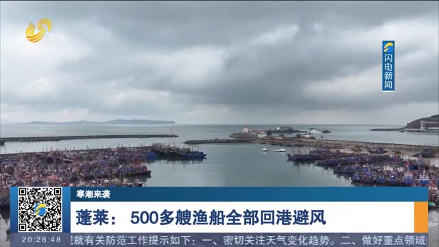 【寒潮来袭】蓬莱：500多艘渔船全部回港避风