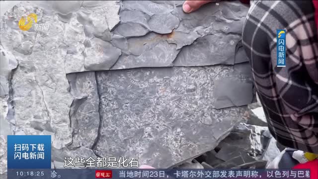 临沂：5岁男孩爬山发现德氏虫化石 发现地属于寒武纪地层