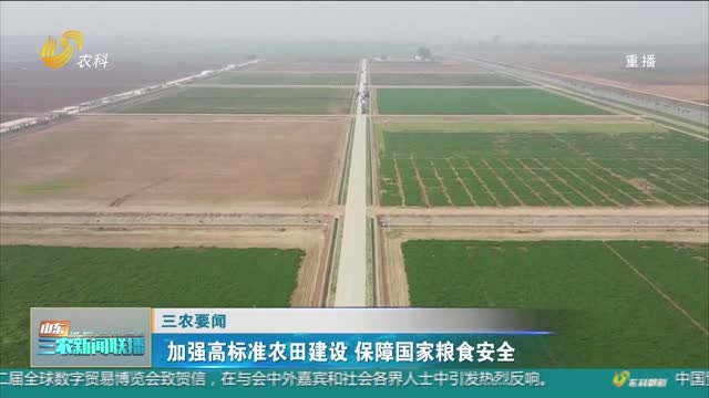 【三农要闻】加强高标准农田建设 保障国家粮食安全