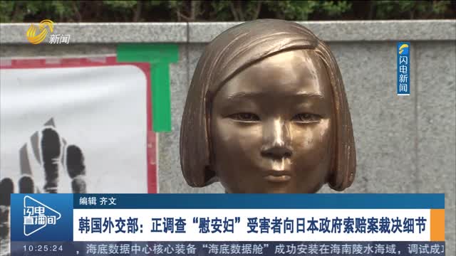 韩国外交部：正调查“慰安妇”受害者向日本政府索赔案裁决细节