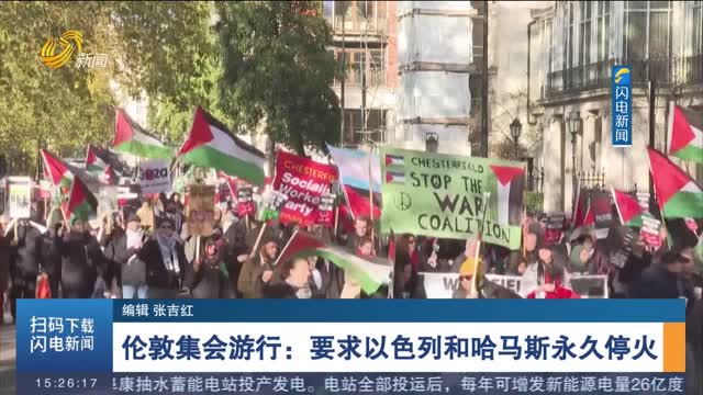 伦敦集会游行：要求以色列和哈马斯永久停火