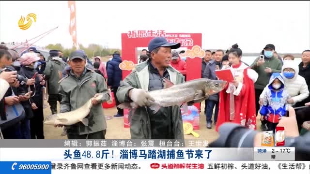头鱼48.8斤！淄博马踏湖捕鱼节来了