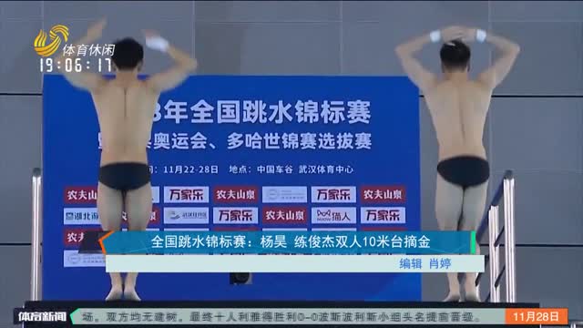 全国跳水锦标赛：杨昊 练俊杰双人10米台摘金
