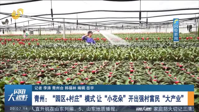 青州：“园区+村庄”模式 让“小花朵”开出强村富民“大产业”
