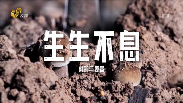 生生不息 创新与变革