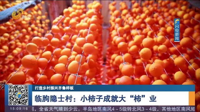 【打造乡村振兴齐鲁样板】临朐隐士村：小柿子成就大“柿”业
