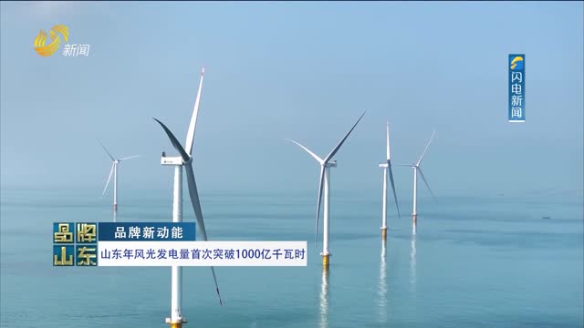 【品牌新动能】山东年风光发电量首次突破1000亿千瓦时