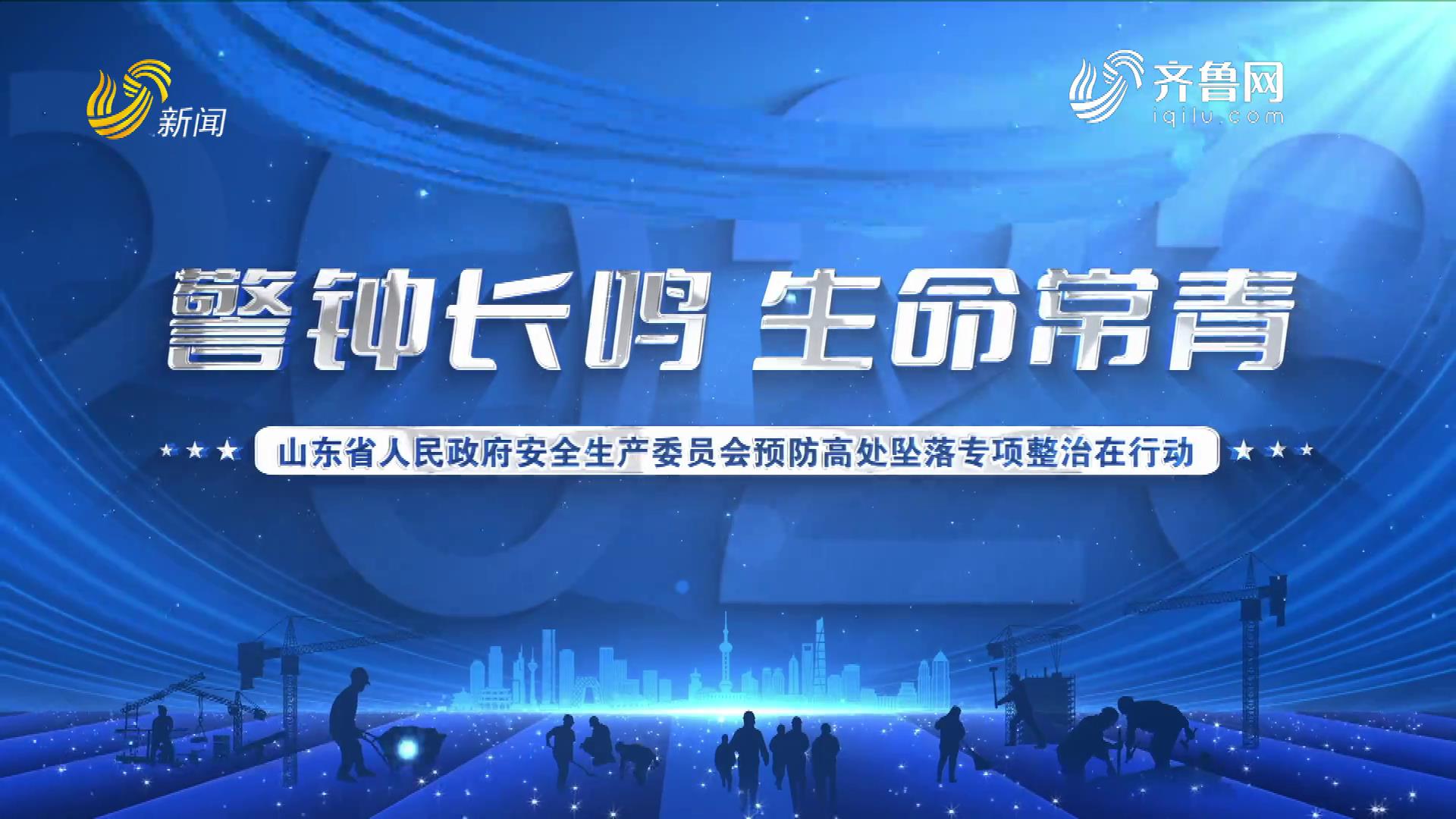 20231203：警钟长鸣 生命常青