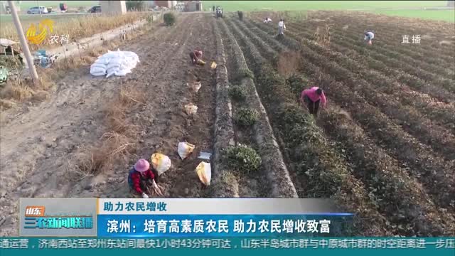 【助力农民增收】滨州：培育高素质农民 助力农民增收致富
