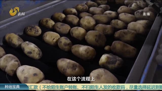 商品薯出库价一元/斤，是怎么做到的？