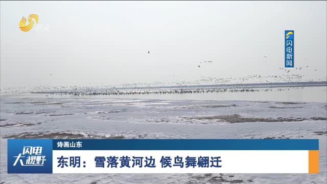 【诗画山东】东明：雪落黄河边 候鸟舞翩迁