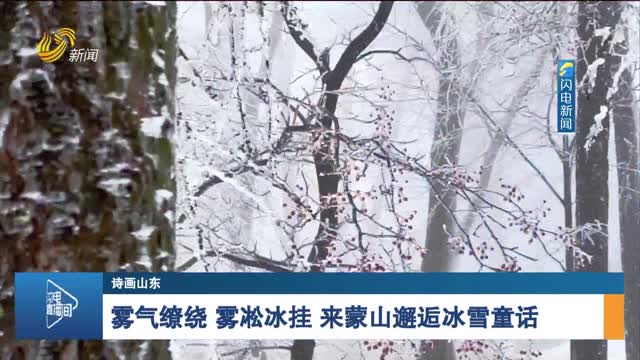 【诗画山东】雾气缭绕 雾凇冰挂 来蒙山邂逅冰雪童话