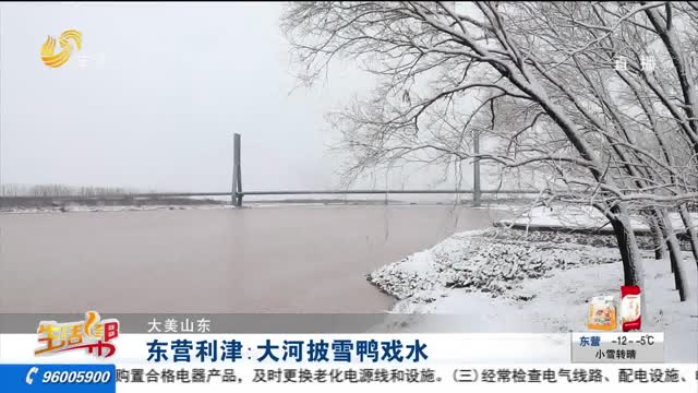 【大美山东】东营利津：大河披雪鸭戏水