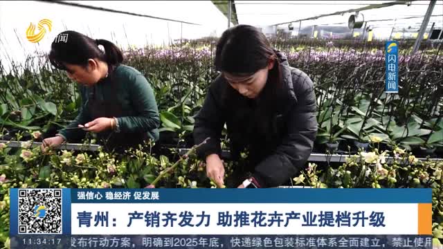【强信心 稳经济 促发展】青州：产销齐发力 助推花卉产业提档升级