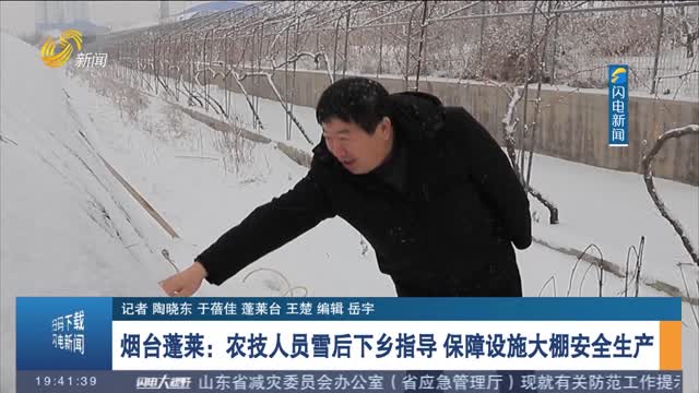 【应对低温雨雪冰冻天气】烟台蓬莱：农技人员雪后下乡指导 保障设施大棚安全生产