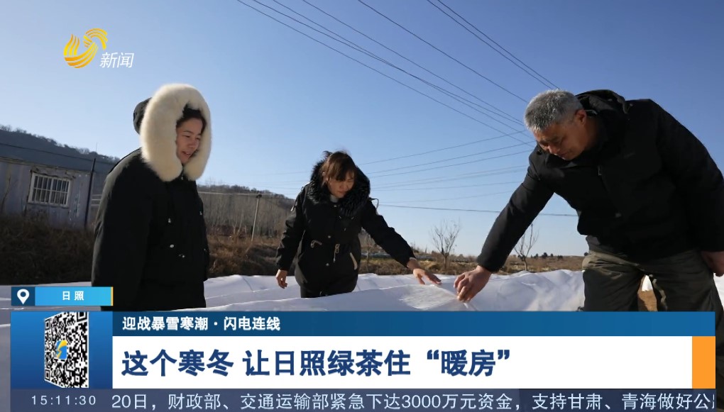 【迎战暴雪寒潮·闪电连线】这个寒冬 让日照绿茶住“暖房”