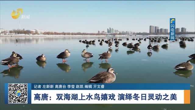 高唐：双海湖上水鸟嬉戏 演绎冬日灵动之美