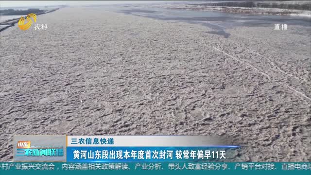 【三农信息快递】黄河山东段出现本年度首次封河 较常年偏早11天