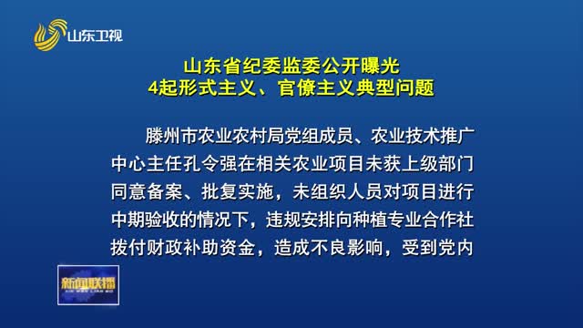 山东省纪委监委公开曝光4起形式主义、官僚主义典型问题