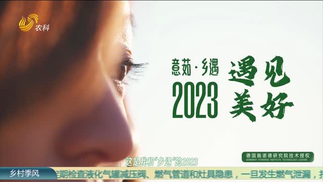 【意茹·乡遇】2023 遇见美好