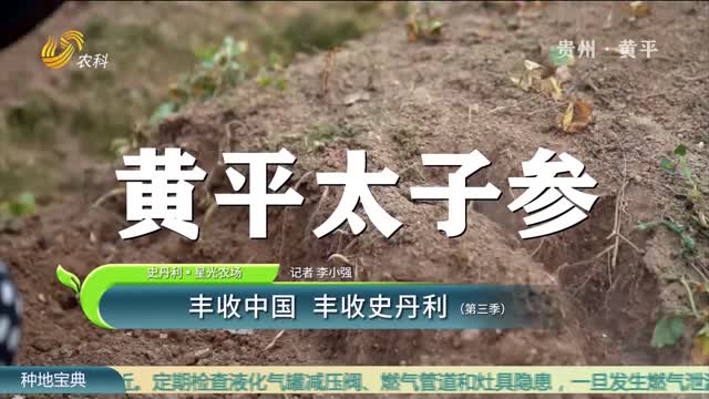 【史丹利·星光农场】丰收中国 丰收史丹利（第三季）
