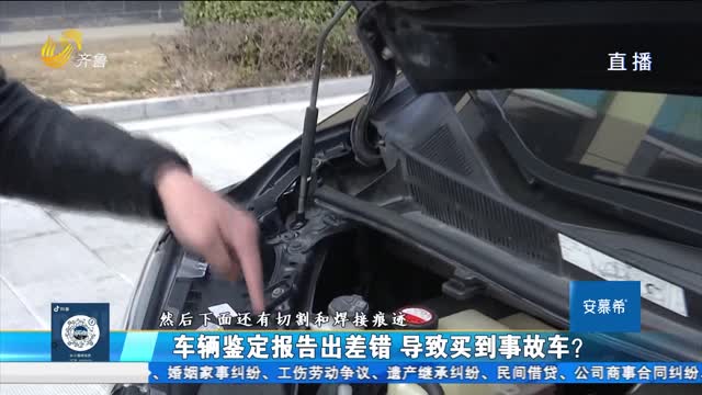 淄博：车辆鉴定报告出差错 买到事故车损失谁承担？
