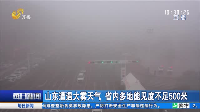 山东遭遇大雾天气 省内多地能见度不足500米