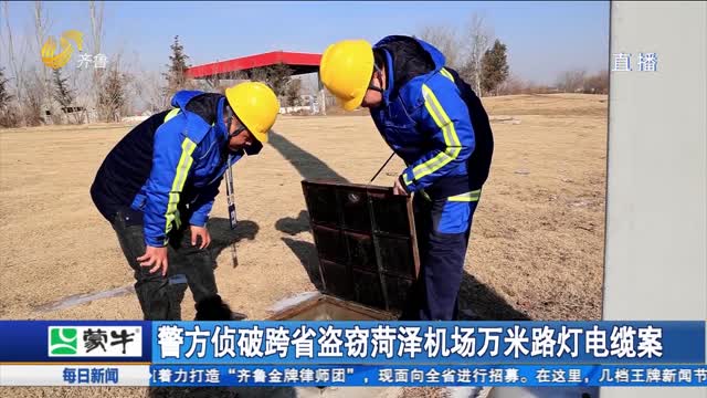 警方侦破跨省盗窃菏泽机场万米路灯电缆案