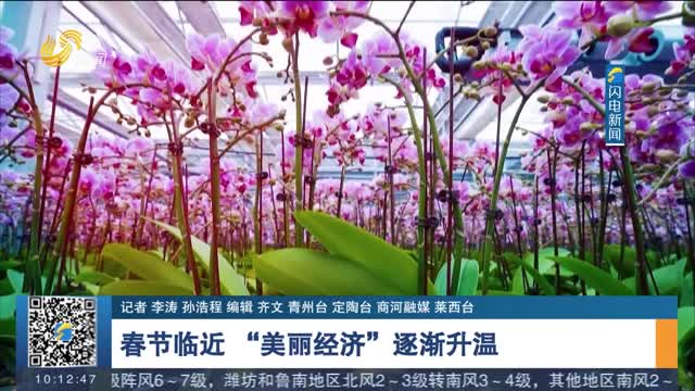 【年味渐浓】春节临近 “美丽经济”逐渐升温