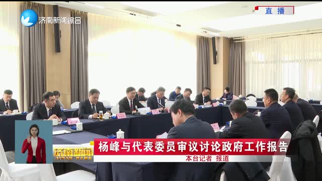 杨峰与代表委员审议讨论政府工作报告
