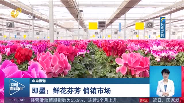 【年味渐浓】即墨：鲜花芬芳 俏销市场