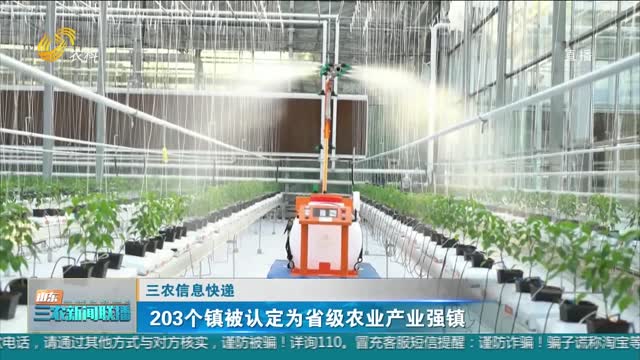 【三农信息快递】203个镇被认定为省级农业产业强镇