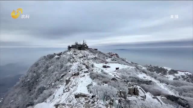 泰山雾凇雪景